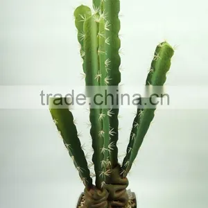 Wholesale Artificial Cactus And Succulent Artificial Bonsai Succulent Plants thumbnail-2