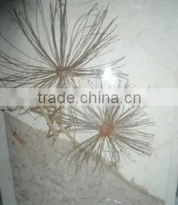 Handmade Card thumbnail-5