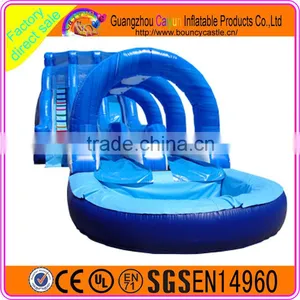 Blue Long Inflatable Water Slide With Pool thumbnail-1