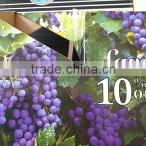 A Six Pack Beer Box For Hot Sale,Packing Carton Box With Offset Printing thumbnail-5