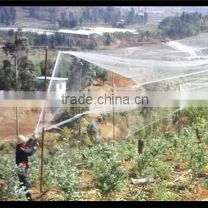 Anti-bird Netting thumbnail-3
