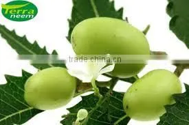 Natural Pesticide Neem Oil thumbnail-4