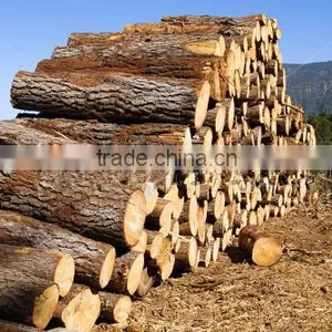 Pine or Birch Wood Logs thumbnail-2