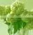 For Christmas Gift Brooch Bouquet Wedding Wedding Bouquets Long From Yunnan, China thumbnail-1