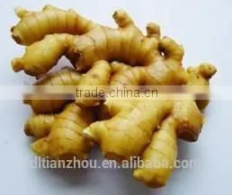 Ginger Powder First Class Factory Price Wholesale thumbnail-1