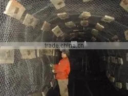 Zhongxiang Hot Dip Galvanized Welded Wire Mesh for Sale thumbnail-1