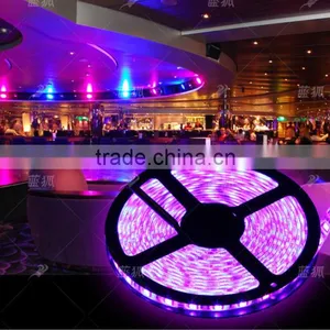 24v Flexible Sequential Rgb Led Strip Waterproof 5m With Smart Mobile Phone Remote thumbnail-2