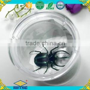 Factory Cheap Magnifier Educational Kit Insect Viewer thumbnail-5