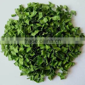 Dried Spring Onion thumbnail-1