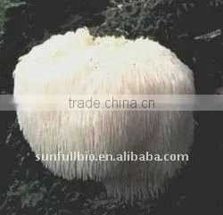 Hericium Erinaceus Straight Powder 80-120mesh thumbnail-1