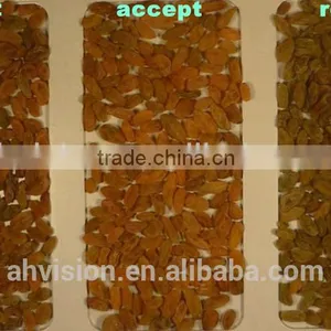 Dried Fruit Sorting Machine Melon Seeds Color Sorter thumbnail-5