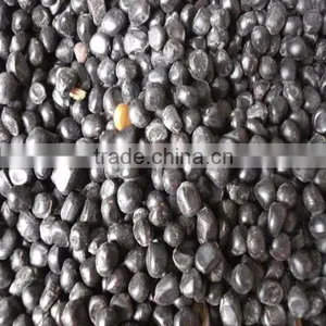 Mu Dan Zhong zi Made in China With Quality Peony Seed thumbnail-1