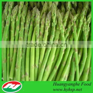 Frozen Asparagus With BRC HACCP HALAL Certificate thumbnail-1
