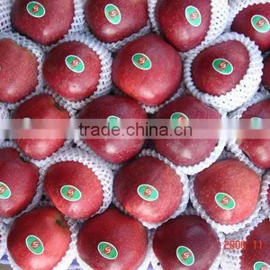 2012 Fresh Huaniu Apple Exporter thumbnail-1