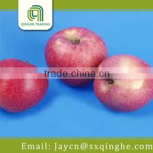 Red Delicious Fresh Star Apple Fruit for Sale thumbnail-1