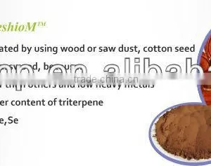 BNP Supply High Quality Polysaccharide of Cloud Mushroom Extract/Coriolus Versicolor Extract thumbnail-1