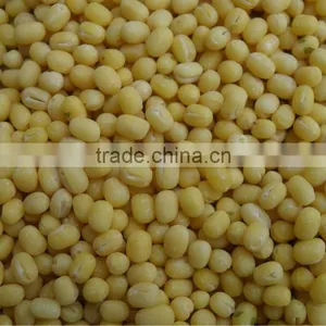 Huskless Green Mung Bean thumbnail-1
