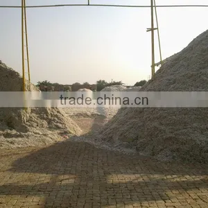 Cotton Seed thumbnail-6