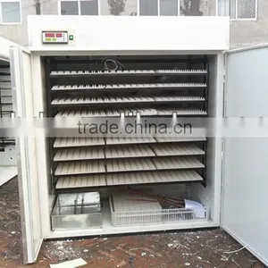 HOT Sale Poultry Machine Automatic Used Chicken Egg Incubator for Sale Chicken Egg Incubator YZITE-16 thumbnail-5