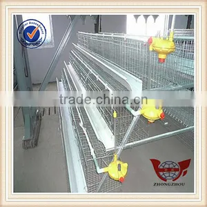 Wire Mesh Chicken Cage Equipment for Poultry Farming thumbnail-1