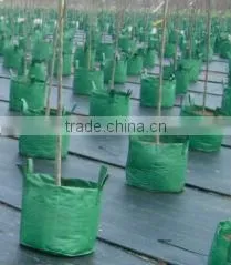 Plant/ Grow Bag thumbnail-4