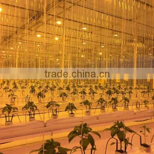 Horticultural Green House Lights thumbnail-3