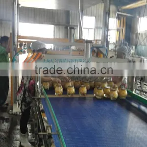 Automatic Mechanical Palletizer for Boxes thumbnail-3
