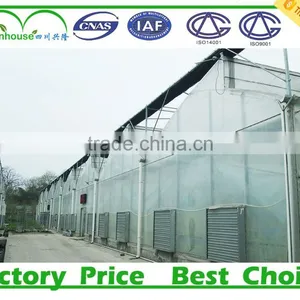 Plastic Agricultural Greenhouses for Sale thumbnail-1