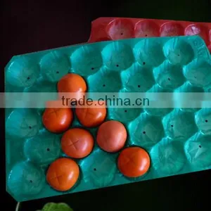 Cheap Plastic Serving Trays thumbnail-2