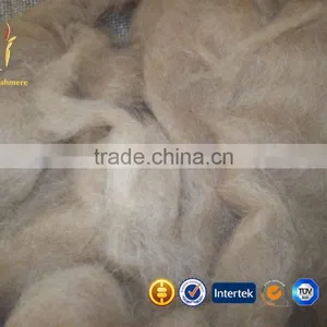 Dehaired Cashmere Fiber Tops thumbnail-2