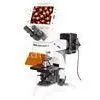 Compound Digital LCD Fluorescence Microscope With 8 Inches TFT Screen thumbnail-1