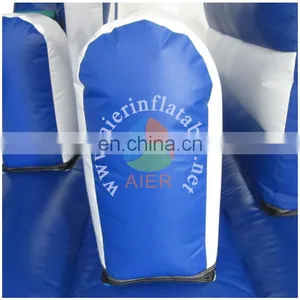 Blue & White Inflatable Slide/cheap Dry Slide thumbnail-4