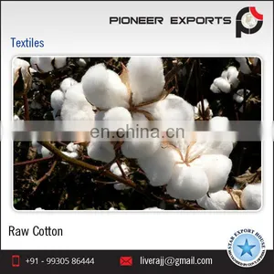 Indian Raw Cotton 100% Pure Cotton Shankar 6 C1% 2016-17 Crop 29mm 29gpt Strength 4-4.9mic 8.5%Moisture 3%Trash thumbnail-1