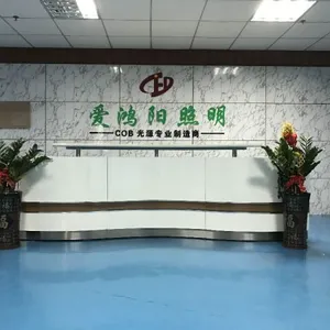 Shenzhen Aihongyang Lighting Co., Ltd. company overview - view 1 thumbnail