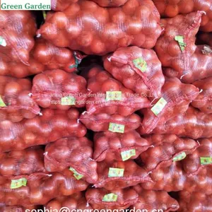 Fresh Yellow Onions thumbnail-2