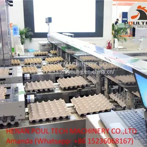 Automatic Egg Grading Equipment & Automatic Egg Packing Equipment thumbnail-5