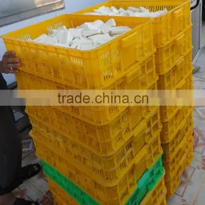 Best Price Cassava Root From Vietnam/ Fresh Tapioca thumbnail-2