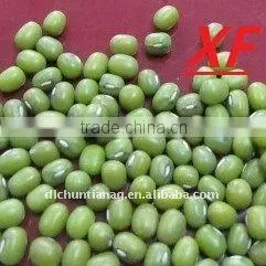 Organic Green Mung Bean thumbnail-1