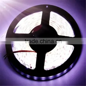 Best Led Lighting Factory 12V/24V Led Strip Light SMD3528 5050 thumbnail-1