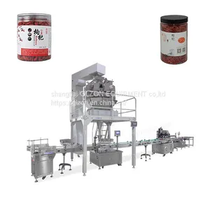 Wolfberry Filling Machine thumbnail-1