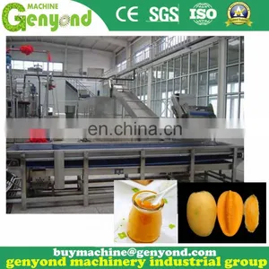 Dried Mango Chips Processing Machine thumbnail-5