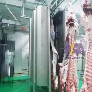 Easy To Operate Cow Slaughtering Equipment Carcass Washing Machine For Slaughterhouse thumbnail-1