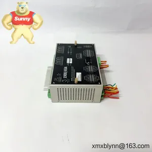 Bently Nevada 1900/65A-00-00-01-00-00 General Purpose Equipment Monitor – Compact Machinery Protection for Pumps, Fans, and Motors thumbnail-1