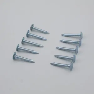 Flat Head Roofing Nails 1kg Box Galvanized Steel for Building Materials Wholesale thumbnail-1