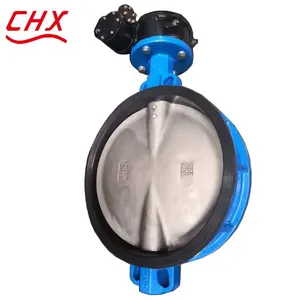 BS DN800 PN25 PN16 Cast Steel Ductile Iron Butterfly Valve Electric Turbine SS304 Disc Lug PTFE Seal thumbnail-1