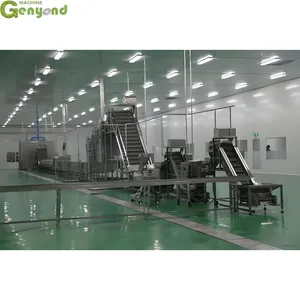 Genyond Factory Automatic Mini Potato Chip Machine Potato Chips Making Machine thumbnail-6