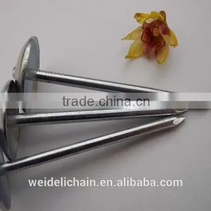 Hardware Umbrella Roofing Nails thumbnail-6