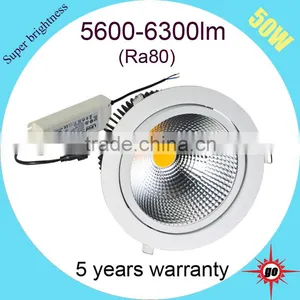 China Best Selling Products 50w Led Downlight thumbnail-4