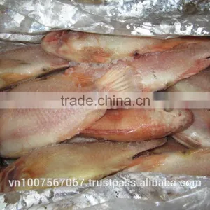 FROZEN RED TILAPIA thumbnail-4