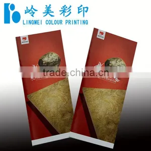 Professional Brochure Webkey thumbnail-1